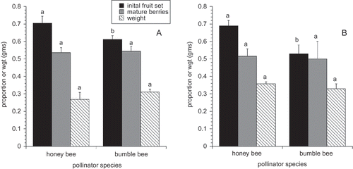 FIGURE 1 Three measures of pollination for 2006 (A) and 2007 (B). The same letters for a given pollination measure within a year denote means that are not significantly different (α = 0.05).
