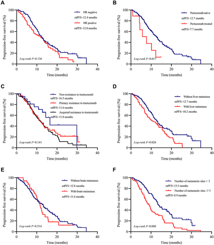 Figure 3 Kaplan–Meier curves of PFS for patients with different characteristics.