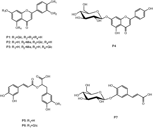 Figure 2. Structures of the isolated phenolic derivatives.