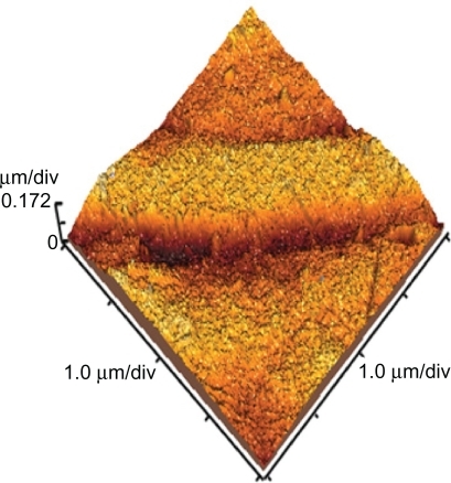 Figure 3 Topography of normal polyurethane.