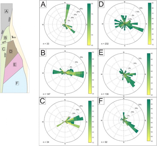 Figure 2. Orientations of brittle structures. The map area is subdivided into six brittle domains A–F. Some of the structural domain boundaries are themselves faults: The Silver Brook Fault (SBF), Bishop’s Pond Fault (BPF), and the Western Border Fault (WBF). Structural domain boundaries not labeled as faults are lithologic contacts. Windrose diagrams showing the orientations of through-going joints in each structural domain were generated with WindRose for Matlab (CitationPereira, 2015).