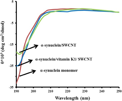 Figure 4 CD signals of α-syn with or vitamin K1 in the presence of SWCNTs.