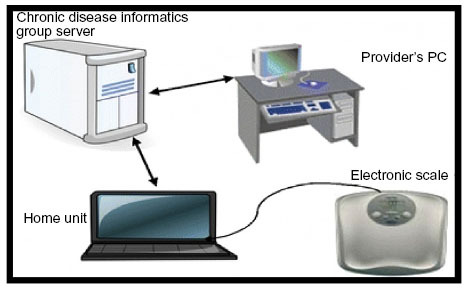 Figure 1 Model of the home telemanagement (IBD HAT) system for inflammatory bowel disease.