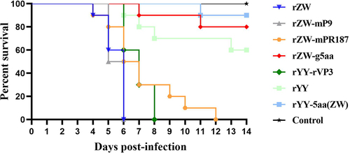 Figure 4. Survival curves of 2-day-old Muscovy ducklings infected with the rescued viruses, encompassing three chimeric viruses, two mutant viruses, and two parental viruses. The group infected with the mutant virus rZW-g5aa displayed a significantly distinct survival curve compared to the groups infected with chimeric viruses (rZW-mP9, rZW-mPR187, rYY-rVP3) and the parental virus rZW (p < 0.0001). Conversely, similar survival curves were noted between the group infected with the mutant virus rYY-5aa(ZW) and the parental virus rYY (p > 0.05). Despite witnessing 100% mortality in the groups infected with the three chimeric viruses and rZW, the survival curve of the rZW-mPR187 infection group displayed slight variability compared to the rZW-mP9 and rZW infection groups (p < 0.05), yet similarity to the rYY-rVP3 infection group (p > 0.05).