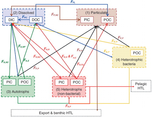 Fig. 2  The major internal pools and fluxes within the surface ocean, through which carbon can circulate: dissolved inorganic carbon (DIC), dissolved organic carbon (DOC), particulate organic carbon (POC) and particulate inorganic carbon (PIC); see Table 2 for details of the fluxes. The numbers in brackets in each box relate to the list of the five main carbon pools described in the text. Higher trophic level is abbreviated to HTL.