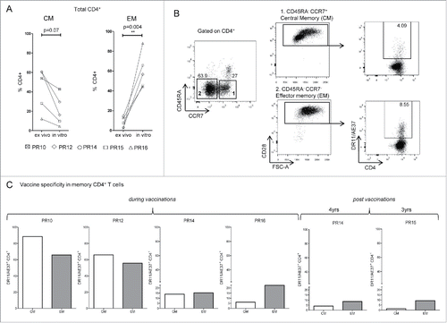 Figure 2. Detection of vaccine-specific memory CD4+ T cells. (A) Assessment of total number of Central memory-CM (CD45RA−CCR7+CD28+) and Effector memory-EM (CD45RA−CCR7−CD28+) CD4+ T cells before (ex vivo) and after AE37 peptide in vitro stimulation, from DRB1*11+ vaccinated patients. (B) Gating strategy for identification of CM and EM CD4+ T cells in AE37 in vitro stimulated samples after vaccination. Alive CD4+ T cells, after exclusion of CD14+CD16+CD19+ cells were gated according to CD45RA and CCR7 expression. Subsequent gating based on CD28 expression identified CM and EM cell subsets, which were analyzed for vaccine specificity using DR11/AE37 tetramer. Dot plots of PR14 with samples collected 4 y post-vaccinations are presented. (C) Shown are percentages of CM and EM DR11/AE37+ CD4+ T cells for all patients analyzed.