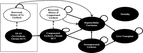 Figure 1. Natural history model schematic. CC, compensated cirrhosis; DCC, decompensated cirrhosis; HCC, hepatocellular carcinoma; HCV, hepatitis C virus; SVR, sustained virologic response. Patients with HCV infection initiated treatment in the first cycle. Health states are depicted by ellipses, while arrows represent permissible transitions between health states. Hashed arrows depict the possibility of achieving SVR. Dotted arrows depict progress to HCC from any recovered states, including without history of cirrhosis and history of compensated cirrhosis. Background mortality is possible from any health state. Liver-related mortality is possible from DCC, HCC, and liver transplantation.