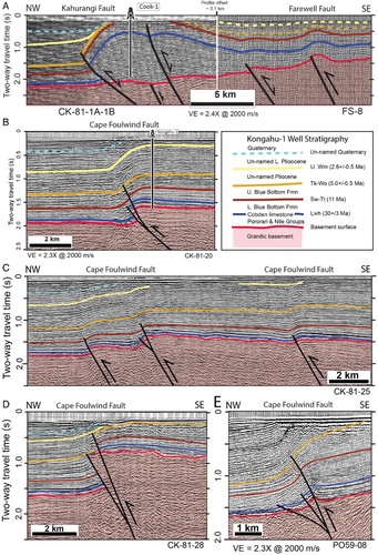 Figure 3. Interpretations of parts of processed seismic sections (TWT) available from http://www.nzpam.govt.nz. A, Composite seismic reflection section CK-81-1A-1B–FS8 across the Kahurangi and Farewell faults. Late Cenozoic reverse reactivation of the Kahurangi Fault is clearly documented by the harpoon-folding of syn-rift Late Cretaceous and Paleogene units in the fault hanging wall, associated with closure of normal separation of the top basement. Stratigraphy tied to Cook-1, Toropuihi-1 and Kongahu-1 (Figures 2, S1) wells; dashed where inferred. B, C and D, lines CK81-20, CK81-25 and CK81-28, respectively, processed by Cultus Pacific (Citation1981); E, line PO59-08 from GECO NZ (1984). Borehole data at Kongahu-1 (Wiltshire Citation1984) have been tied to an available depth-converted section of this profile (Cultus Pacific Citation1981).