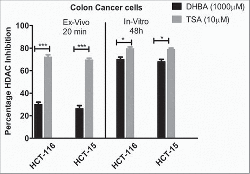 Figure 2b. DHBA inhibited HDAC activity both ex vivo and in vitro in colon cancer cell lines further confirming its potential to bind even when it is present in cells. The inhibitory effect was found to be more potential in vitro.