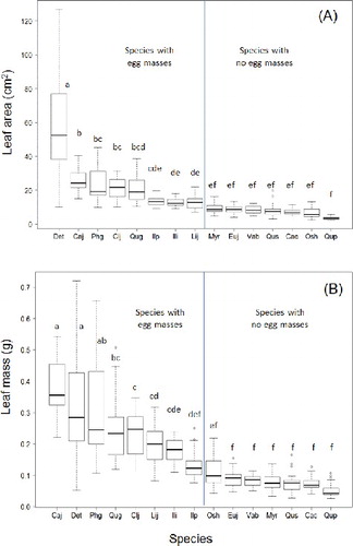 Figure 1. Boxplots of leaf area (A) and leaf dry mass (B) for 15 evergreen tree species in the research plot.