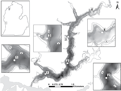 Figure 1. Map of Spring Lake, showing bathymetry (m) of overall lake, and detail at each sampling location (1–4). Upper left inset shows location of Spring Lake in the lower peninsula of Michigan. Flow moves from station 4 south to station 1, and then through the outlet below station 1 into the Grand River.
