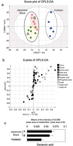 Figure 5. Comparison of metabolites in different cattle breeds using GC/MS.(a) OPLS-DA score plot visualizes the relationship between metabolites in Japanese Black and Holstein cattle. Types A and B are genetically different Japanese Black cattle (each type of cattle, n = 6; Scaling, Pareto variance). The OPLS-DA model was used for analysis with fitting parameters (Components, [1 + 2]; R2 [cum] = 0.940; Q2 [cum] = 0.838). (b) S-plots of OPLS-DA data demonstrating the relationship between metabolites in different cattle breeds. Positive p-values (0 to 1.0) indicate a greater abundance of the metabolite in Holstein than in Japanese Black cattle; negative p-values (0 to −1.0) indicate a greater abundance of the metabolite in Japanese Black than in Holstein cattle. The P [Citation1] axis indicates the metabolites responsible for the difference in score plots. Color gradation in the plots indicates the metabolite classes. (c) Presence of decanoic acid as determined by GC/MS. The signal intensity of decanoic acid was significantly greater in Japanese Black than in Holstein cattle.