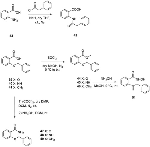 Scheme 4. Synthesis of the amide 42, esters 44–46, hydroxyamide 51 and amides 47–49.