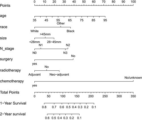 Figure 4 Nomogram for predicting the 1-year and 2-year survival of SCLC patients with BM.