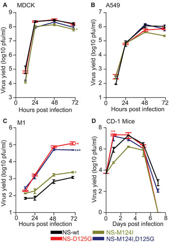 Figure 1 Host specific effects on viral replication. Virus growth in (A) MDCK , (B) A549, (C) M1cells (MOI 0.001, n=3) and (D) CD-1 mice (n=12) infected with influenza A viruses containing either the wt, M124I, D125G or the double-mutant (M124I+D125G) NS1 genes. (*P<0.05;**P<0.01; ***P<0.001; P value was determined by two-tailed student t with equal variance, comparing the mutants to wt 72 hpi or 1 day post-infection. Error bars indicate s.e.m.)
