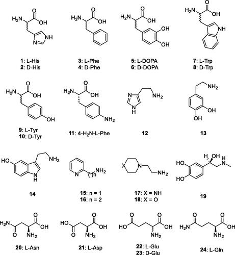 Figure 2. Amino acids and amines 1–24 investigated as CAAs of BteCAι.