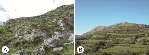 Figure 6. (A) Cytisus cantabricus communities and casmophitic vegetation on the Aramo summit platform (Llagu Robles). (B) Meadows in Dosango (Quirós).