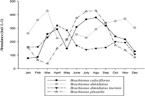 Figure 4. Temporal variation of the four dominant rotifer species in Lake Shala from January to December 2018.