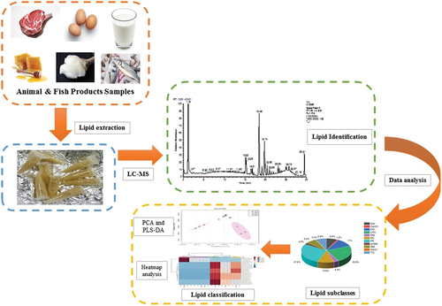 Figure 3. Lipidomic Approach for Navigating the Functional Quality of Animal and Fish Products.