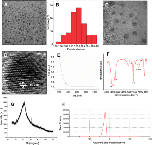 Figure 2 Characteristics of MC-CDs. (A) Transmission Electron Microscope (TEM) of MC-CDs. (B) TEM size distribution of MC-CDs. (C) High Resolution Transmission Electron Microscope of MC-CDs. (D) Lattice spacing of MC-CDs in HRTEM. (E) Ultraviolet-visible spectroscopy (UV-Vis) of MC-CDs. (F) Fourier-transform infrared spectrometer (FTIR) of MC-CDs. (G) XRD pattern of MC-CDs. (H) Zeta potential values of MC-CDs.