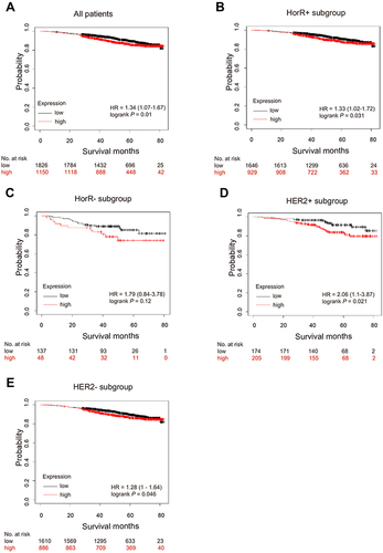 Figure 5 Kaplan–Meier survival curves according to TRIM58 expression in Kaplan-Meier Plotter datasets. Kaplan–Meier estimates of overall survival (OS) for all patients (A), HorR+ subgroup (B), HorR- subgroup (C), HER2+ subgroup (D) and HER2- subgroup (E). The P values are calculated using the Log rank test. Hazard ratios are derived from the Cox proportional hazards regression model.