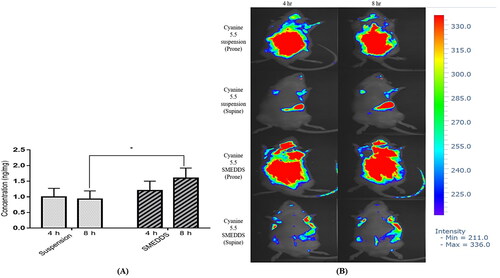 Figure 7. Brain coenzyme Q10 (CoQ10) deposition profiles of (A) rats administered with a CoQ10 suspension formulation, and CoQ10 SMEDDS formulation. Each value represents the mean ± SD (n = 5); *, p < 0.001. (B) in vivo fluorescence imaging of SD rats in prone and supine position at 4 hr and 8 hr after oral delivery of Cy 5.5 suspension and Cy 5.5 loaded SMEDDS.