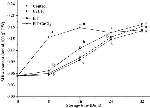 Figure 6. MDA content of the peppers treated with CaCl2, HT, and HT-CaCl2 for 32 days at 8°C. Each value is the mean of three replications, and vertical bar represents the standard error of the means (n = 3)