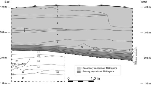 Figure 2. Sections of excavated areas from the 2014 field season.