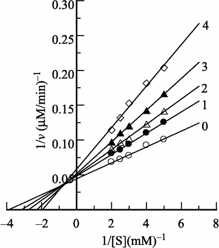 Figure 4 Lineweaver-Burk plots for the enzyme in different concentrations of H2O2. The H2O2 concentration for lines 0–4 was 0, 0.2, 0.4, 0.6 and 0.8 M, respectively. Conditions were the same as in Figure 1.