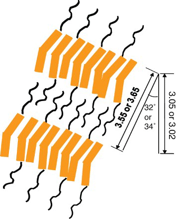 Figure 8. Schematic representation of the smectic C phase structure for polymers 3b and 3c. The d-spacing, molecular length, and tilt angle are indicated in the figure.