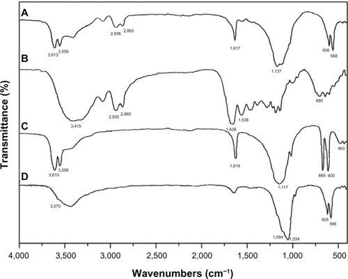 Figure 2 Infrared spectra of the composite cement with 30% n-CDHA/MAC (A), MAC (B), CSH (C), and n-CDHA (D).Abbreviations: CSH, calcium sulfate hemihydrate; n-CDHA, nano calcium-deficient hydroxyapatite; n-CDHA/MAC, nano calcium-deficient hydroxyapatite/multi(amino acid) copolymer; MAC, multi(amino acid) copolymer.