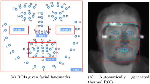 Figure 6. Facial landmarks are used to automatically generate different ROIs on the face from which the thermal features are extracted.