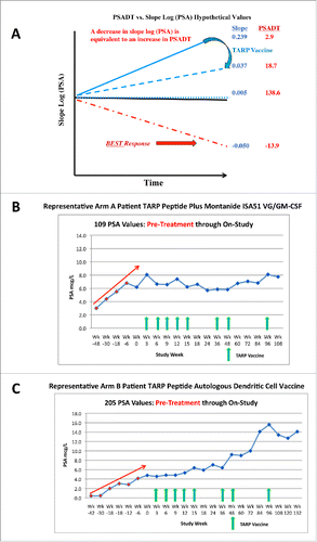 Figure 2. Representative schematic of PSADT relationship to Slope Log(PSA) (A), PSA response to TARP vaccination with Montanide ISA 51-GM-CSF (B) and PSA response to TARP autologous DC vaccination (C). Red arrow in (B) and (C) represents estimated PSA trajectory within the 48 weeks prior to study entry.