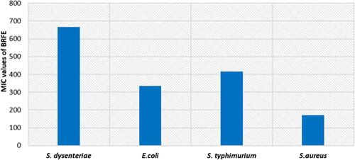 Figure 3 Bar chart showing MIC values of BRFE against the tested bacteria.