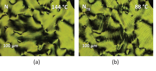 Figure 5. (Colour online) (a) The schlieren nematic texture and (b) the blocky schlieren texture of the NTB phase seen for a mixture of CB4OABOMe/CB7CB containing 75 mol % CB4OABOMe sandwiched between untreated glass slides.