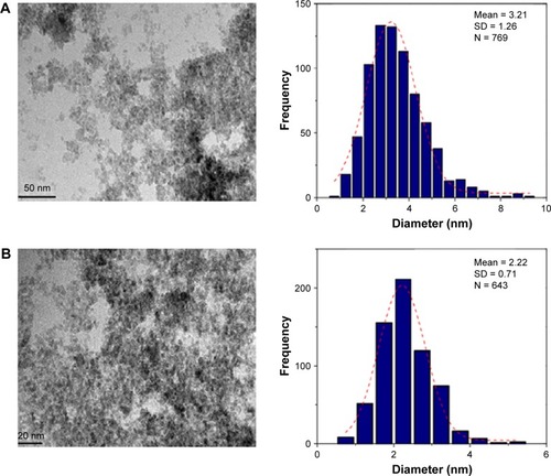 Figure 4 TEM images and histograms of particle size distribution for 0.5% and 3% (w/v) honey/Fe3O4-NPs. (A) and (B): 0.5% and 3% (w/v), respectively.Abbreviations: Fe3O4-NPs, magnetite nanoparticles; TEM, transmission electron microscopy.