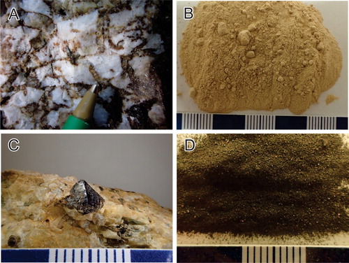 Figure 21. Examples of main REE and Nb minerals and their concentrates; (a) Mixture of monazite [(Ce,La,Nd,Th)PO4] and bastnaesite [(Ce, La)(CO3)F] forms orange-brown fracture fillings in dolomite carbonatite; pen for scale; Wicheeda Lake prospect, British Columbia, Canada. (b) Bastnaesite concentrate containing 60–65 wt.% rare earth element oxides (REO), Mountain Pass carbonatite, California, USA; scale in millimetres. (c) Pyrochlore crystal [(Na,Ca)2Nb2O6(OH,F)] from the Upper Fir carbonatite, British Columbia, Canada; scale in millimetres (d) Pyrochlore concentrate, Niobec Mine, Quebec, Canada; scale in millimetres.