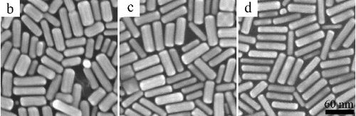 Figure 3. SEM images of the gold nanorods.