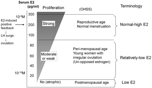 Figure 1. Terminology of estradiol (E2) concentrations used in this article, and respective populations, menstrual status, and proliferative activity of the normal human endometrium. The majority of endometrial carcinoma (EC) patients are in the ‘Relatively-low’ E2 range. OHSS: ovarian hyperstimulation syndrome, LH: luteinizing hormone.