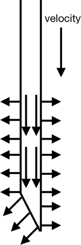 Figure 4. Normal and tangential vector of the needle surface.