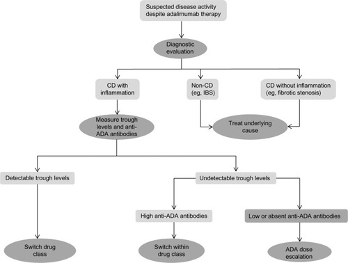 Figure 1 Suggested algorithm for the management of loss of response to adalimumab in Crohn’s disease patients.