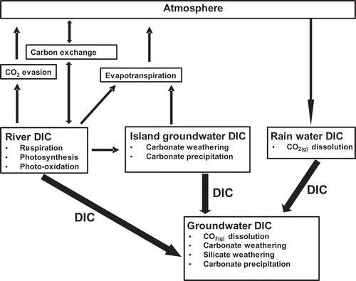 Figure 3. Conceptual model showing the pathways and processes that affect dissolved inorganic carbon (DIC) in the river water, island groundwater and the unsaturated zone prior to recharge of groundwater in the Okavango Delta, Botswana.