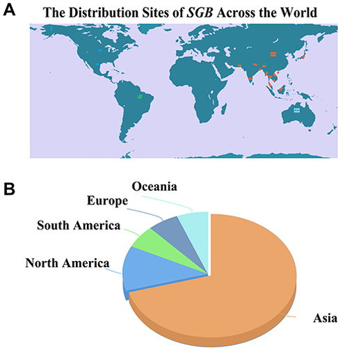 Figure 1 Geographical distribution of SGB throughout the world. (A) Planar map of the distribution of SGB. (B) Distribution in all continents of the world. (A total of 17 countries were searched).