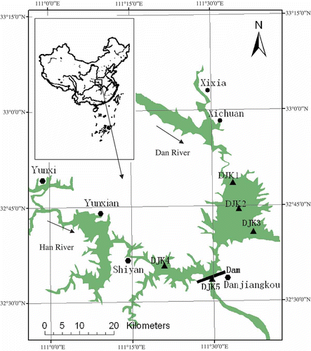 Fig. 1 Locations of five sampling sites in the Danjiangkou Reservoir, China (DJK1, DJK2 and DJK3 are located in the Dan River zone, DJK4 in the Han River zone, and DJK5 in the downstream of the dam).