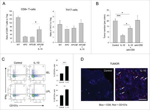 Figure 4. IL-10-mediated tumor suppression is in part dependent on cytotoxic CD8+ T-cell activation. (A) Effector T-cell/cTreg ratios. The ratio of LP CD8+ and CD4+IL-17+ T-cells to cTreg were quantified in WT, APCmin/+, control-treated APCmin/+/B. fragilis and IL-10-treated APCmin/+/B. fragilis mice. Error bars = SEM, n = 4–6 per group. (B) Role of CD8+ T-cells in tumor suppression. B. fragilis-colonized APCmin/+ mice were either treated with blank or control particles with or without CD8+ T-cell depletion as described in section Materials and methods. Colon tumor burden was determined at the end of the study. Error bars = SEM, n = 5–12 per group. (C) CD8+ T-cell activation. Single cell suspensions were prepared from the colonic LP. CD8+ T-cells were gated on and were analyzed for intracellular IFNγ and membrane CD107a expression. Representative flow panels and quantitative data are shown. Error bars = SEM, n = 4 per group. Significance: #, ##, ###denote p < 0.05, 0.01 or 0.001, respectively. (D) Histological analysis of CD8+ T-cells in colon tumors. Tumor sections from control and IL-10-treated mice were stained for CD8+ (blue) and CD107a (red). The arrows point to CD8+/CD107a double-positive cells. Bar = 50 μm.