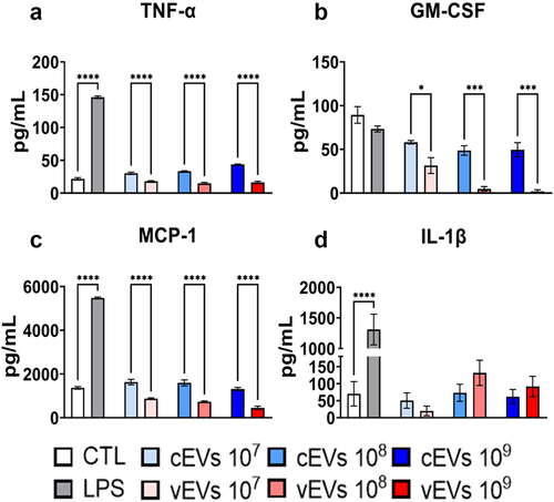 Figure 4. vEVs enhance the expression of intracellular IL-6 and IL-10 when compared to expression stimulated by cEVs. Antigen-presenting cells obtained from the bone marrow of C57BL/6 mice, which were differentiated with GM-CSF (20 ng/mL), were challenged with different concentrations of P. brasiliensis control and virulent EVs (107, 108, and 109 EVs/mL) for 48 hours. The cells were then recovered and labelled with fluorochrome-conjugated antibodies. Flow cytometry using FACSLyric and FlowJo software was used to analyse the frequency of DCs (CD11b+CD11c+F4/80−; left) and macrophages (CD11b+CD11c+F4/80+; right) expressing IL-6 (a), IL-10 (b), and TNF-α (c). The bars represent means ± standard error of triplicates per group (*p < 0.05; **p < 0.01; ***p < 0.001; ****p < 0.0001). As a negative control (CTL), cells received only RPMI medium, while LPS (1 µg/mL) was used as a positive control.