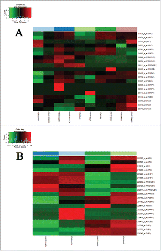 Figure 2. Effect of 5-aza-2′-deoxycytidine demethylation treatment on colon cancer cell lines. Gene expression data of colon cancer cell lines under 5-aza-2′-deoxycytidine demethylation treatment analyzed on Affymetrix HGU133 Plus 2.0 microarrays are shown (GEO accession numbers of gene expression data sets: GSE32323,Citation38 GSE14526Citation42). Demethylation agent treatment reversed (upregulated) mRNA expression of 7 WNT pathway genes showing promoter hypermethylation and downregulated mRNA expression in benign and/or malignant colonic tissue samples, principally in SW480 and HCT116 colorectal adenocarcinoma cell lines in varying degrees. A. GSE32323 data set B. GSE14526 data set. Samples are shown in columns, selected transcripts are represented in rows. High mRNA expression intensities are marked in red, low expression levels are shown in green. AZA = 5-aza-2′-deoxycytidine.