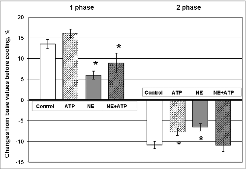 Figure 4. Changes in the respiratory coefficient in the first and second phases of metabolic response to cooling in control (without any drugs) and on the background of ATP, NE, and their mixture. Significant differences from control – * P < 0.05, Student's t-test. The absolute values of the respiratory coefficient (RC) changes in control animals: in the 1 phase of metabolic response RC increases by 0.09±0.008 (P < 0.05); in the 2 phase of metabolic response RC decreases by 0.08±0.007 (P < 0.05).