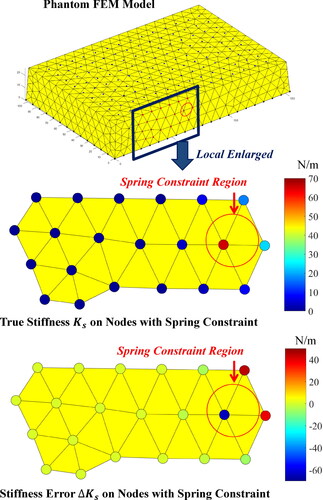 Figure 15. True stiffness Ks and stiffness error ΔKs on nodes with spring constraint in hydrogel phantom experiments.