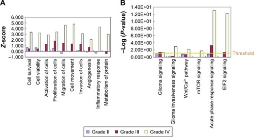 Figure 4 IPA analyses of differential proteins from low- to high-grade astrocytomas.